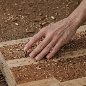 Wood selection and preparation process